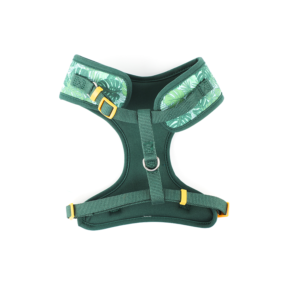 Harness for Dogs